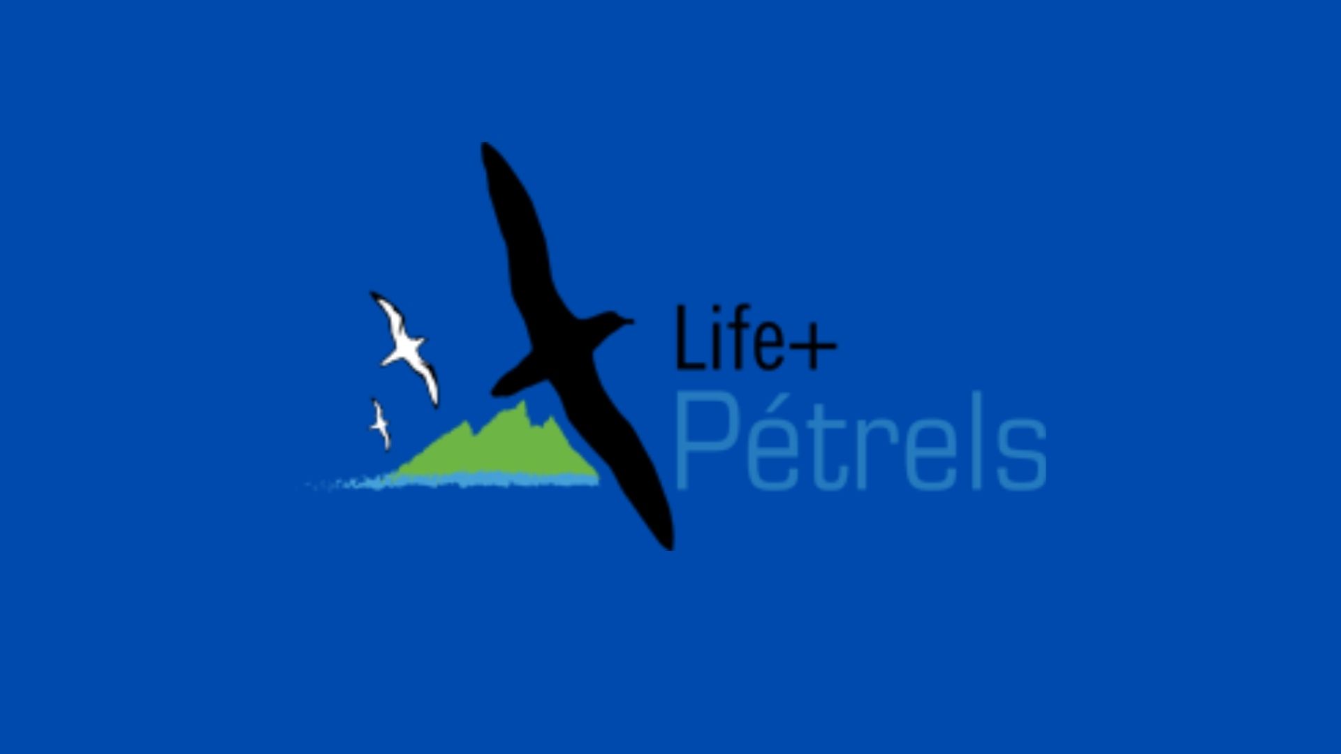 logo LIFE + Pétrels
