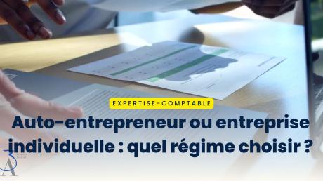 Auto-entrepreneur ou entreprise individuelle